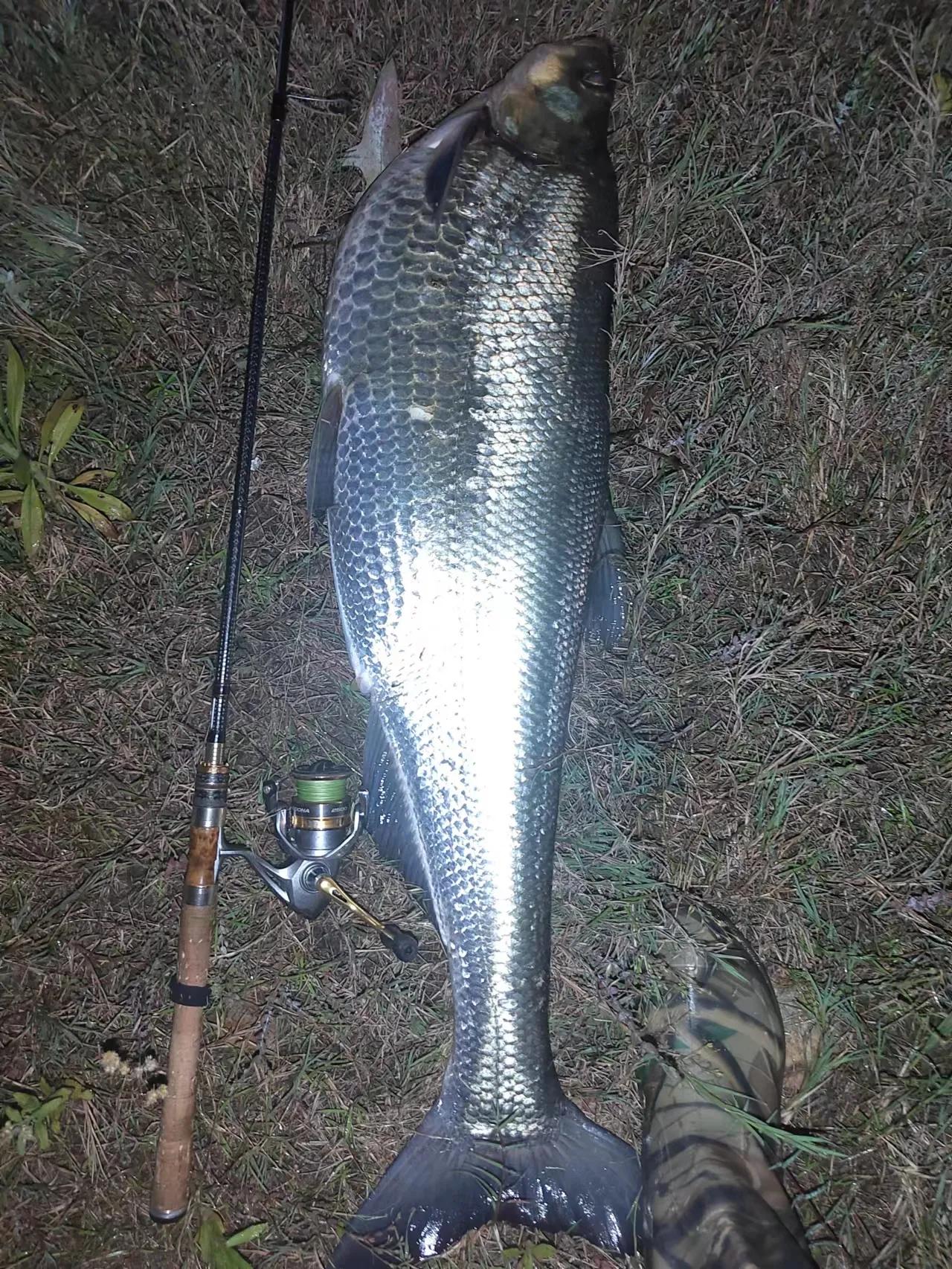 路亚翘嘴竿子的选择,kuwa路亚钓翘嘴