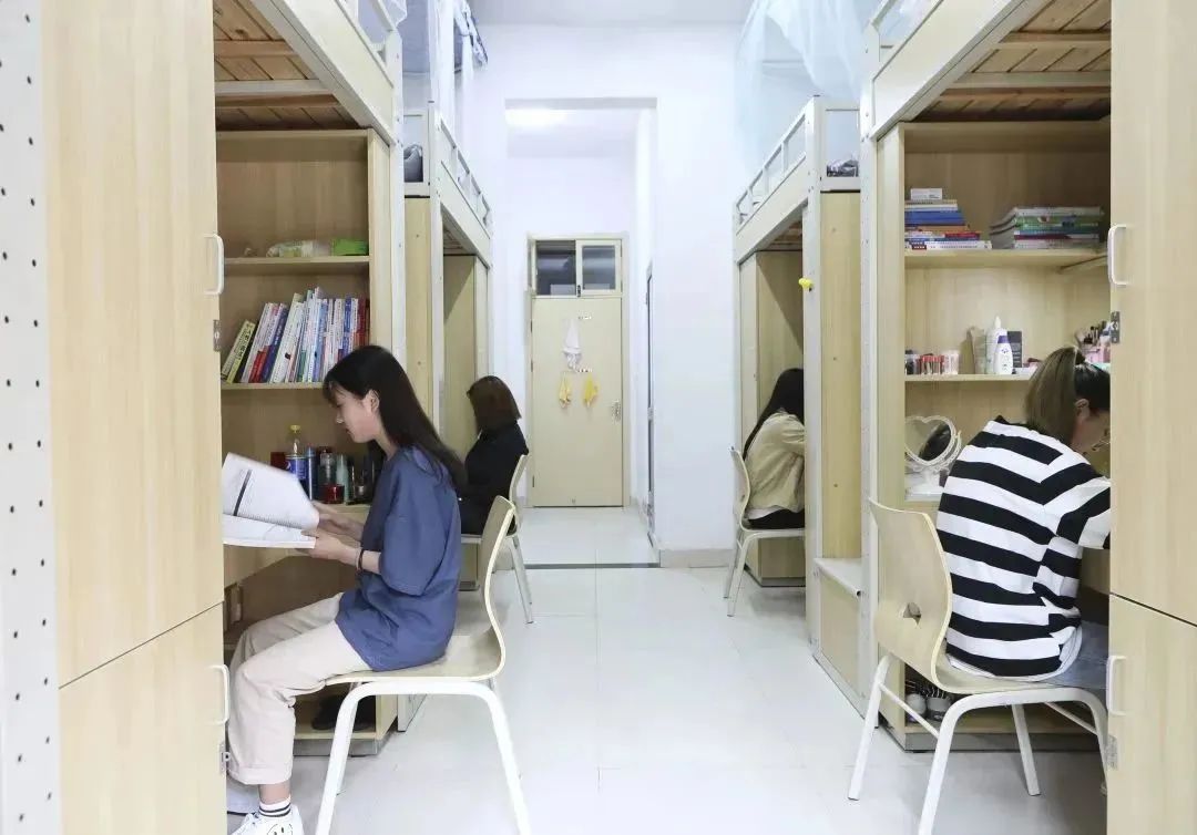 2020高职高专满意度,高职专业满意度排行