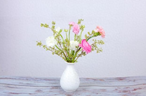 55岁杨姐近照,杨姐青春美貌