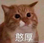 家里踩死的蟑螂，为啥一会儿就自动消失了？