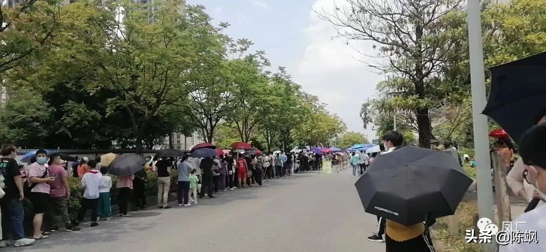 容桂凤凰湾社区,容桂凤凰湾简介