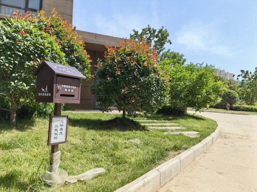 大华安置楼项目交房，幸福新生活，起航！