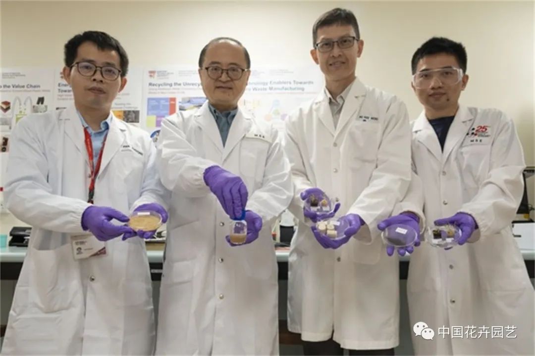 荷兰世园会“日本日”活动举行科学家发明“人发种植基质”|每周国际花讯