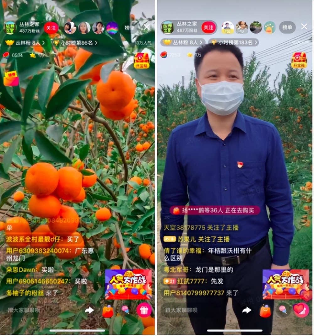 互联网电商直播带货发展规划,互联网农产品直播营销方案