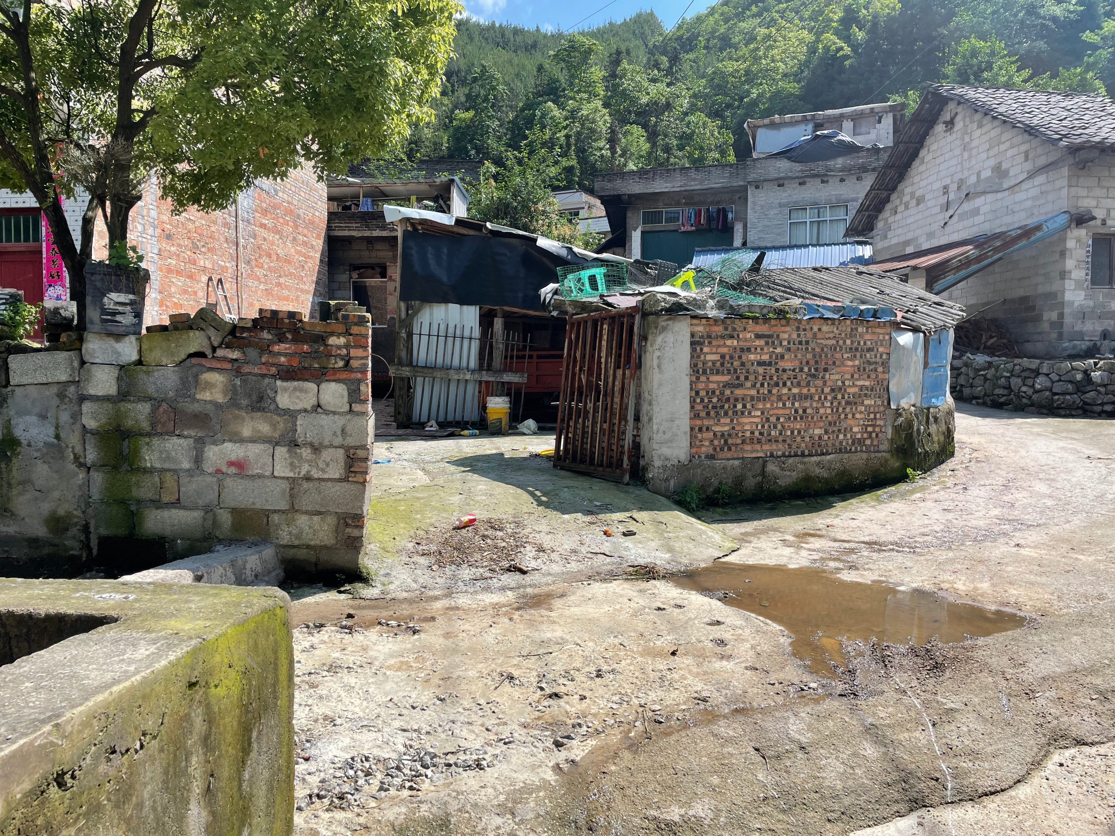 贵州小伙娶农村老婆视频,广西小伙花2000万娶越南姑娘