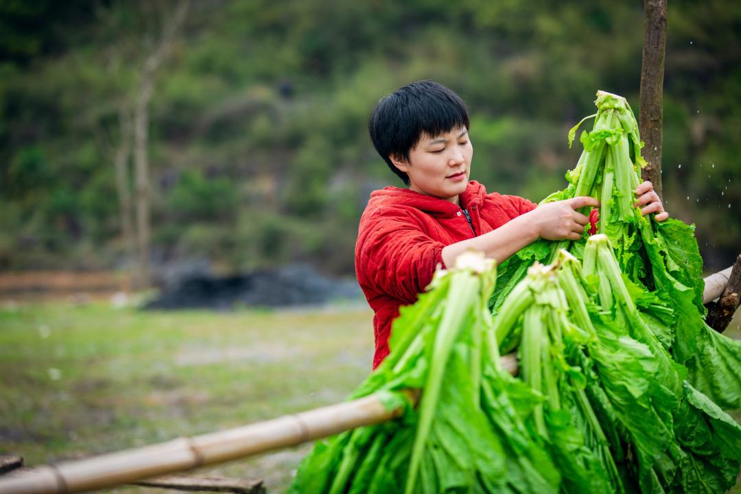 千万粉丝直播带货挣多少,农村创业直播卖农产品
