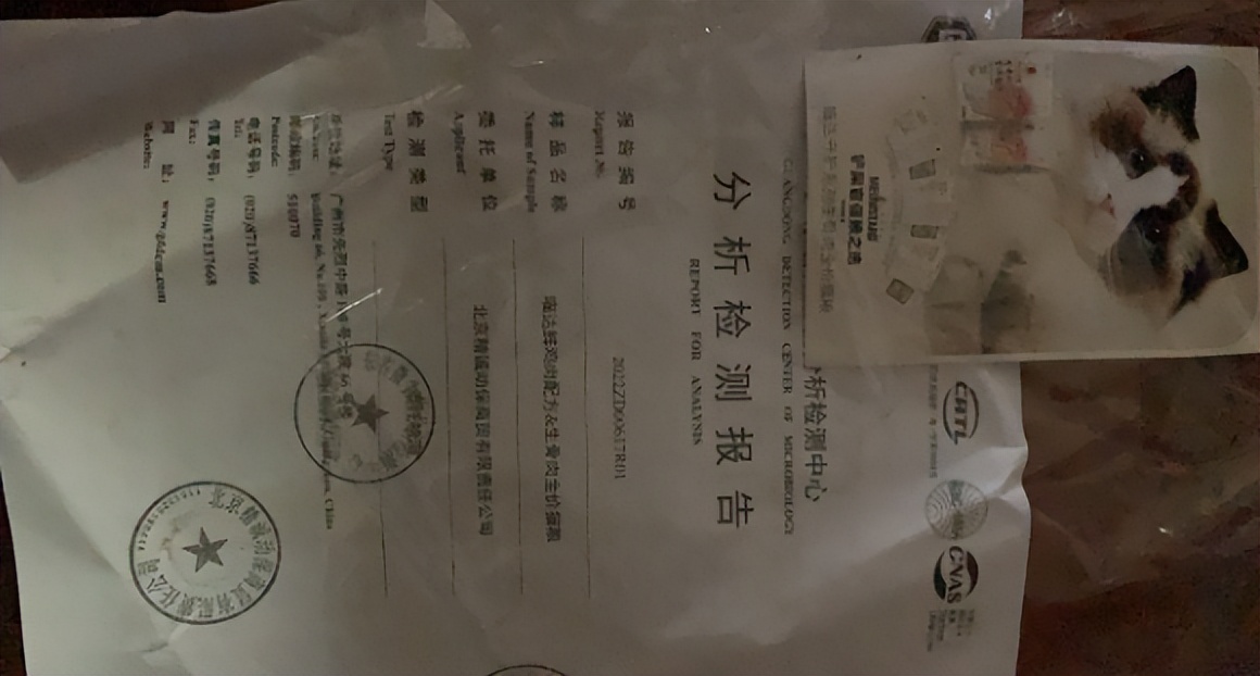 21猫条测评红黑榜,猫达猫粮测评