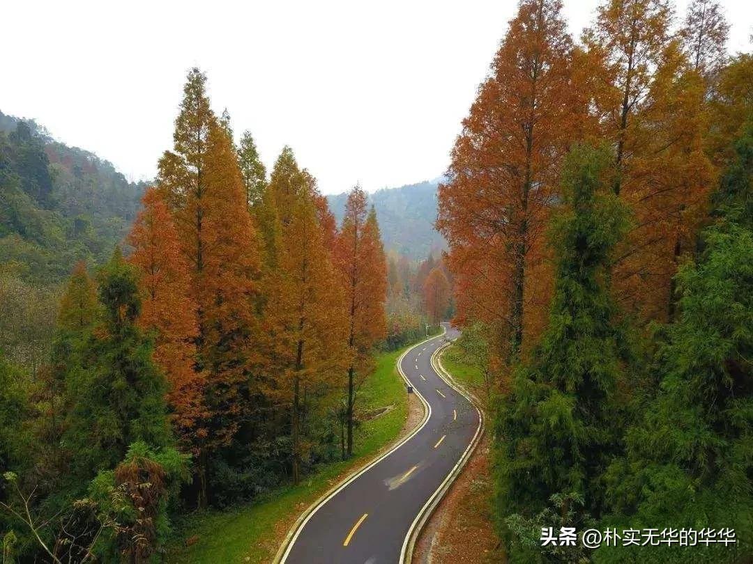 赵公山康养绿道导览图,赵公山骑行森林绿道环线南上北下