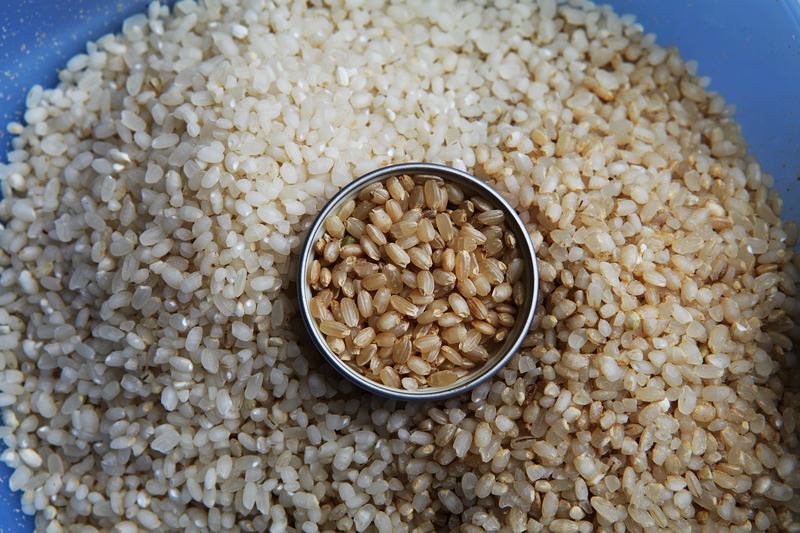 千言万语不如一锅完美的米饭：学会选米、淘米、煮米