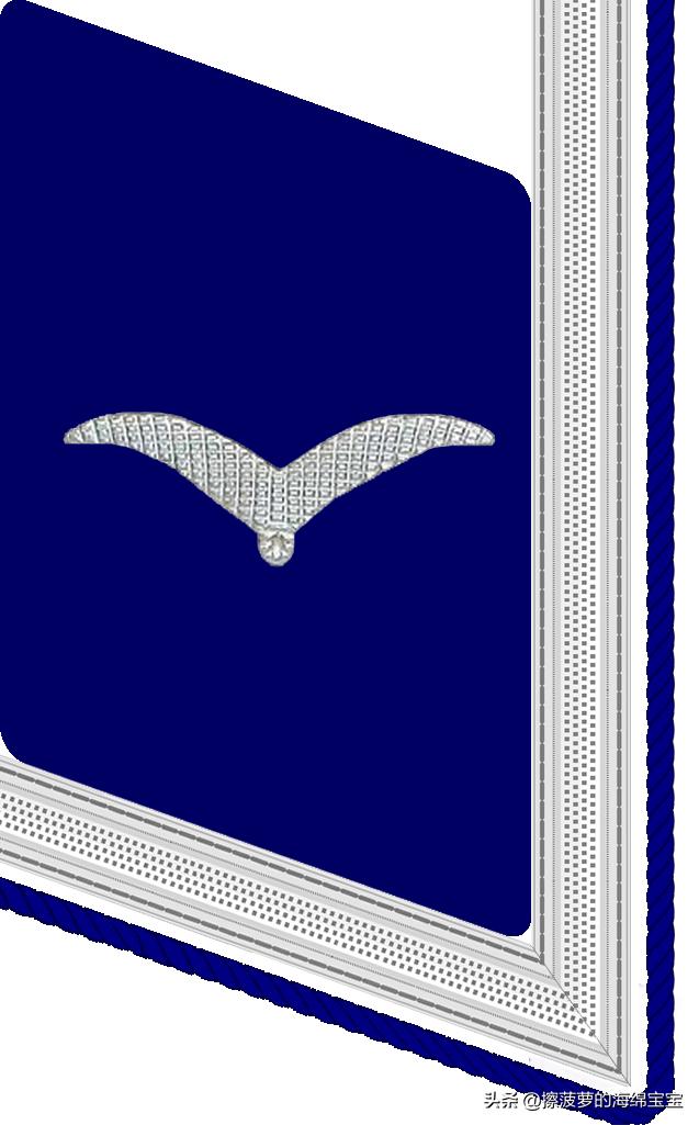 二战德国国防军医疗兵军衔标志