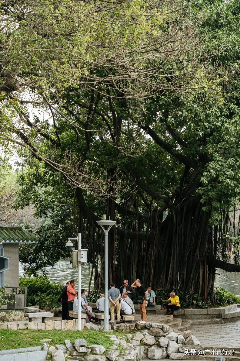 2019广州十大浪漫约会圣地,广州适合情侣去看海的地方