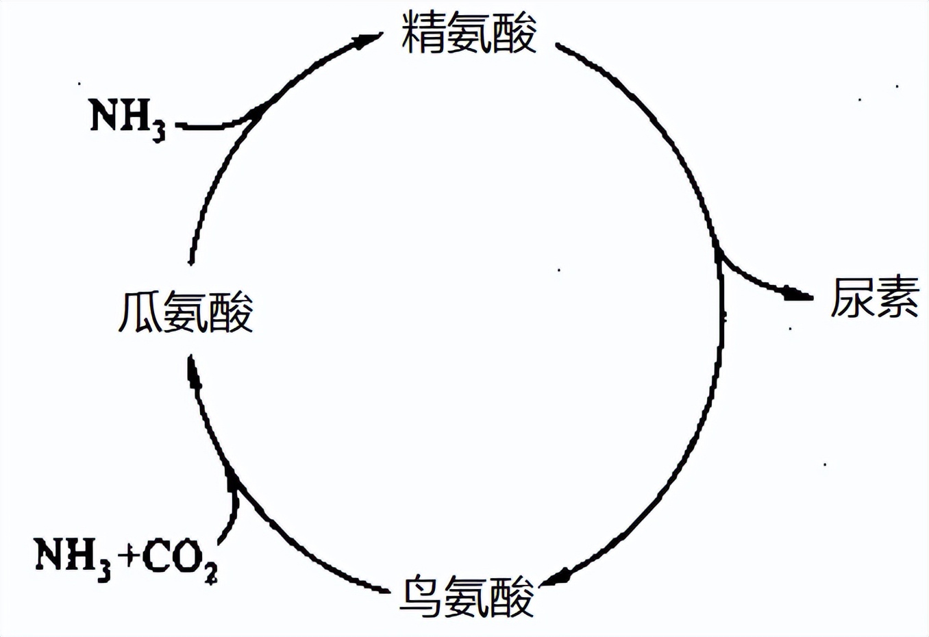 瘦牛催肥最快方法尿素能喂牛吗,喂牛的尿素是肥料的尿素吗
