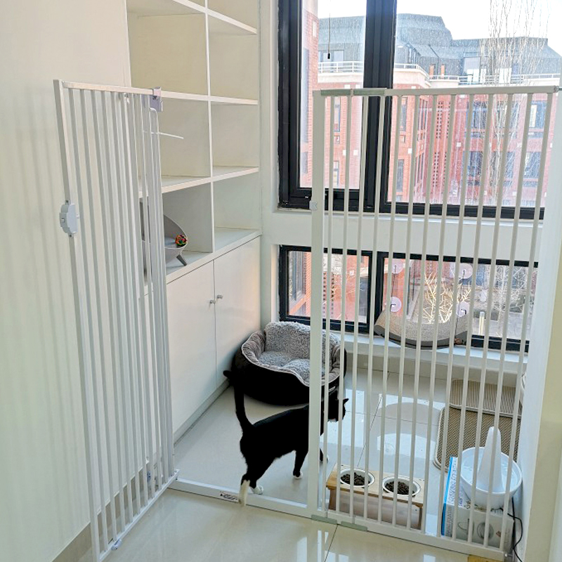 为什么猫咪上床前会舔毛,猫咪为什么上床声音那么大