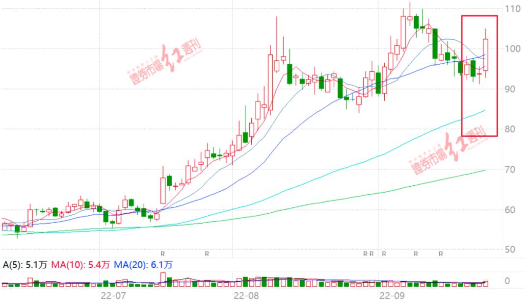 “投资大佬”王国斌最新建仓股大涨9%！“下一个目标”提前曝光？“顶流”谢治宇也“透露”建仓这几家公司