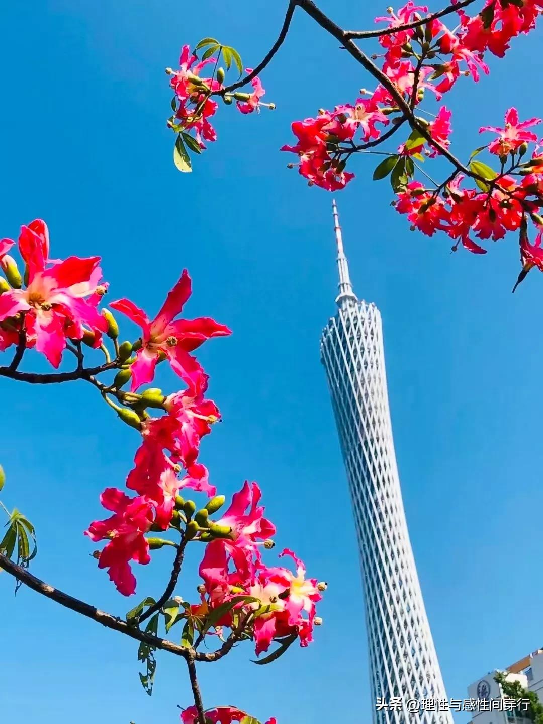 海外看东方，洋姐夫回国见闻，坦承澳洲已经落后中国十年