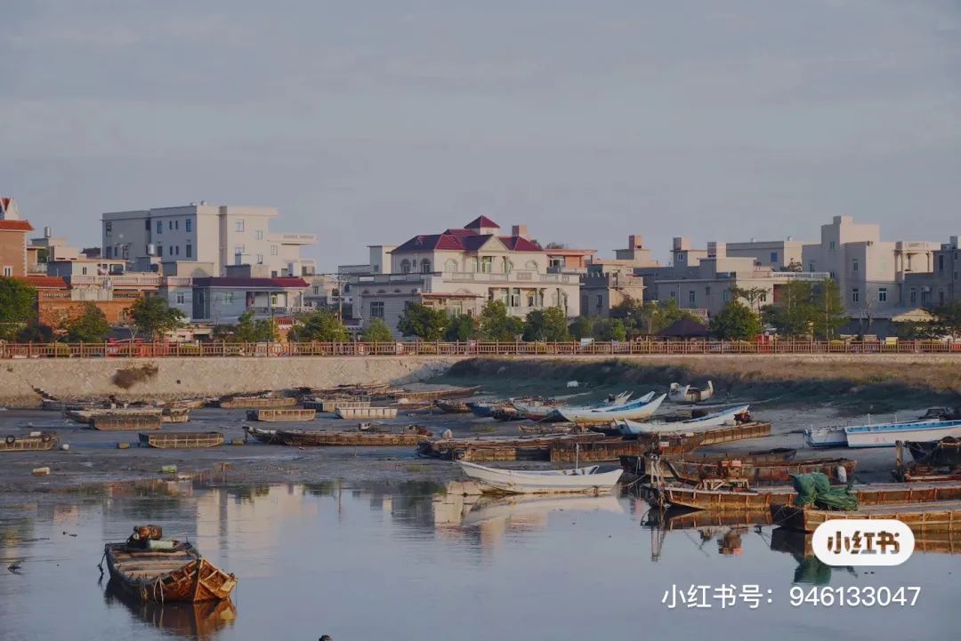 连续21年吊打厦门!这座疯狂“搞钱”的小城,藏着比三亚清净的海