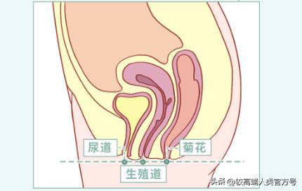 女生身体指标不正常有哪些,女生身体真的很脆弱吗