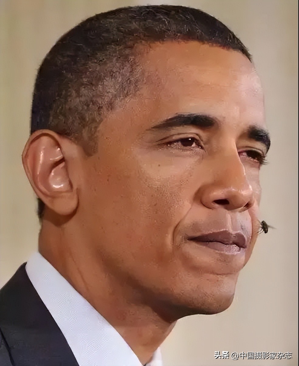 108张令人惊讶的历史与自然照片,有颠覆你认知的那张吗?