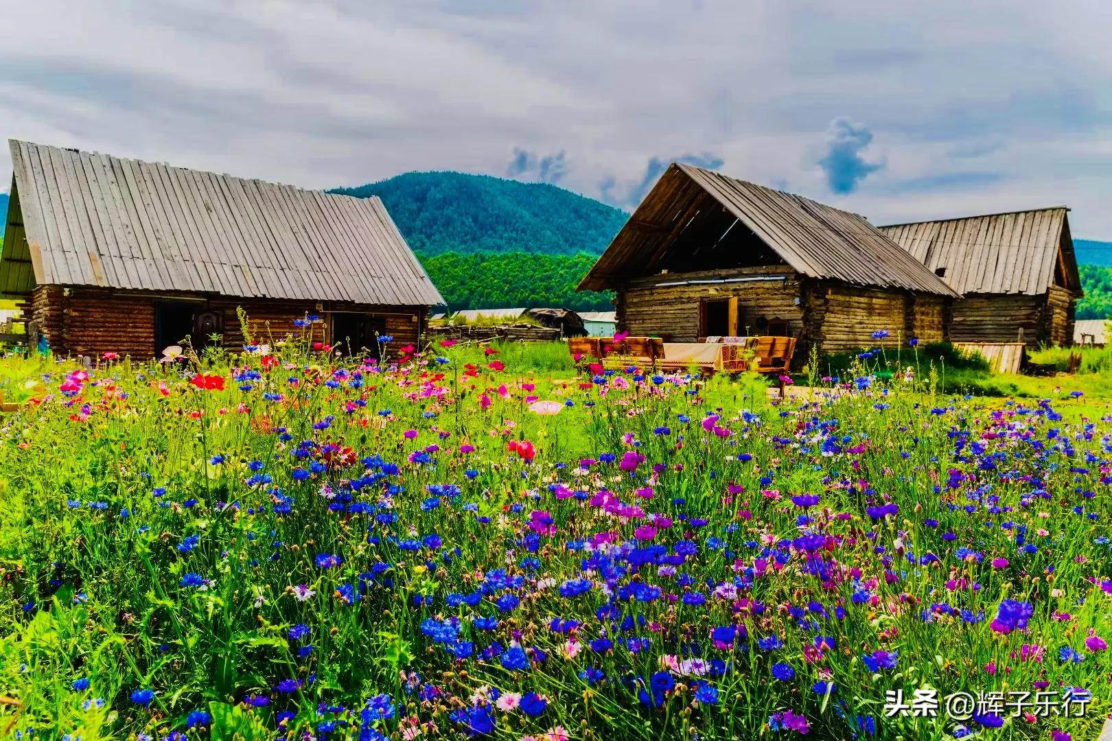 阿勒泰市喀纳斯禾木景区,新疆阿勒泰地区喀纳斯风景区