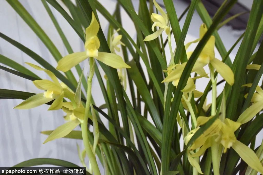 来北京必逛皇家园林,北京具有特色的皇家园林