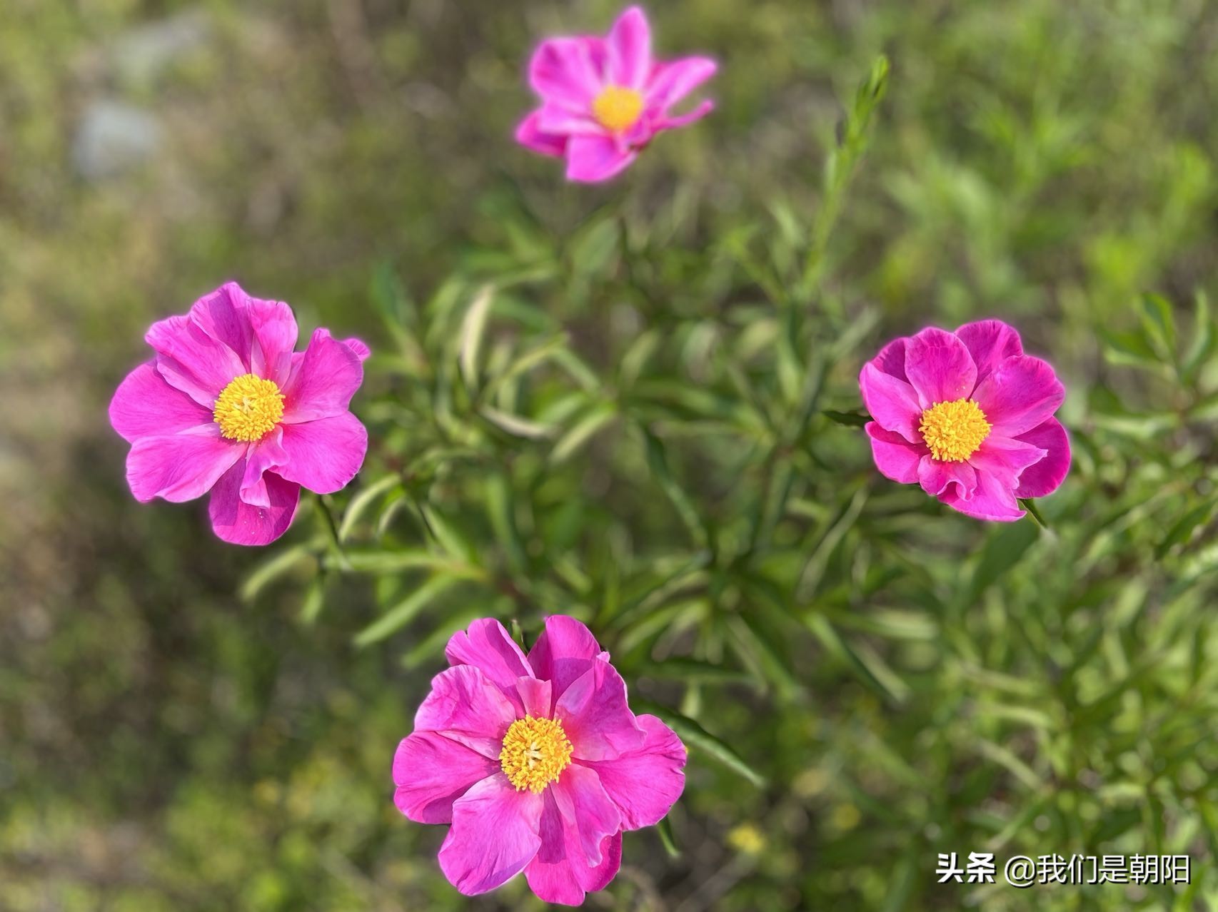 九嶷河国家湿地公园在哪里,九嶷河湿地公园