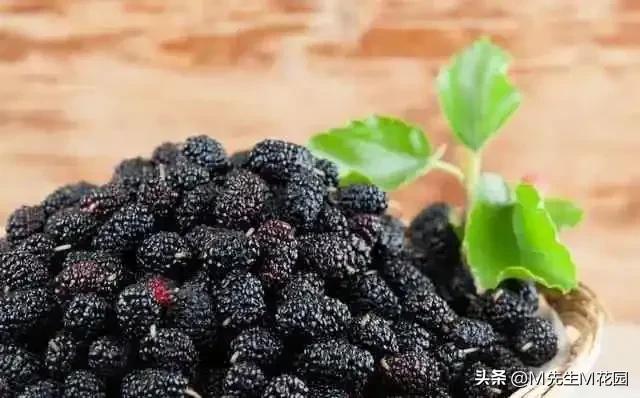 各种颜色的水果蔬菜有何作用,不同颜色水果和蔬菜的功效