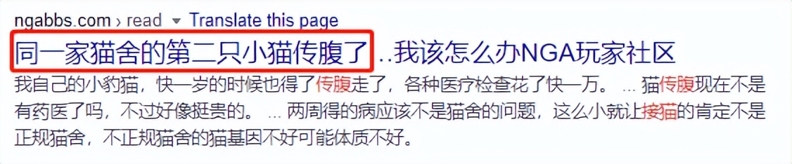 爱它，请不要放弃它！猫传腹不等于判死刑