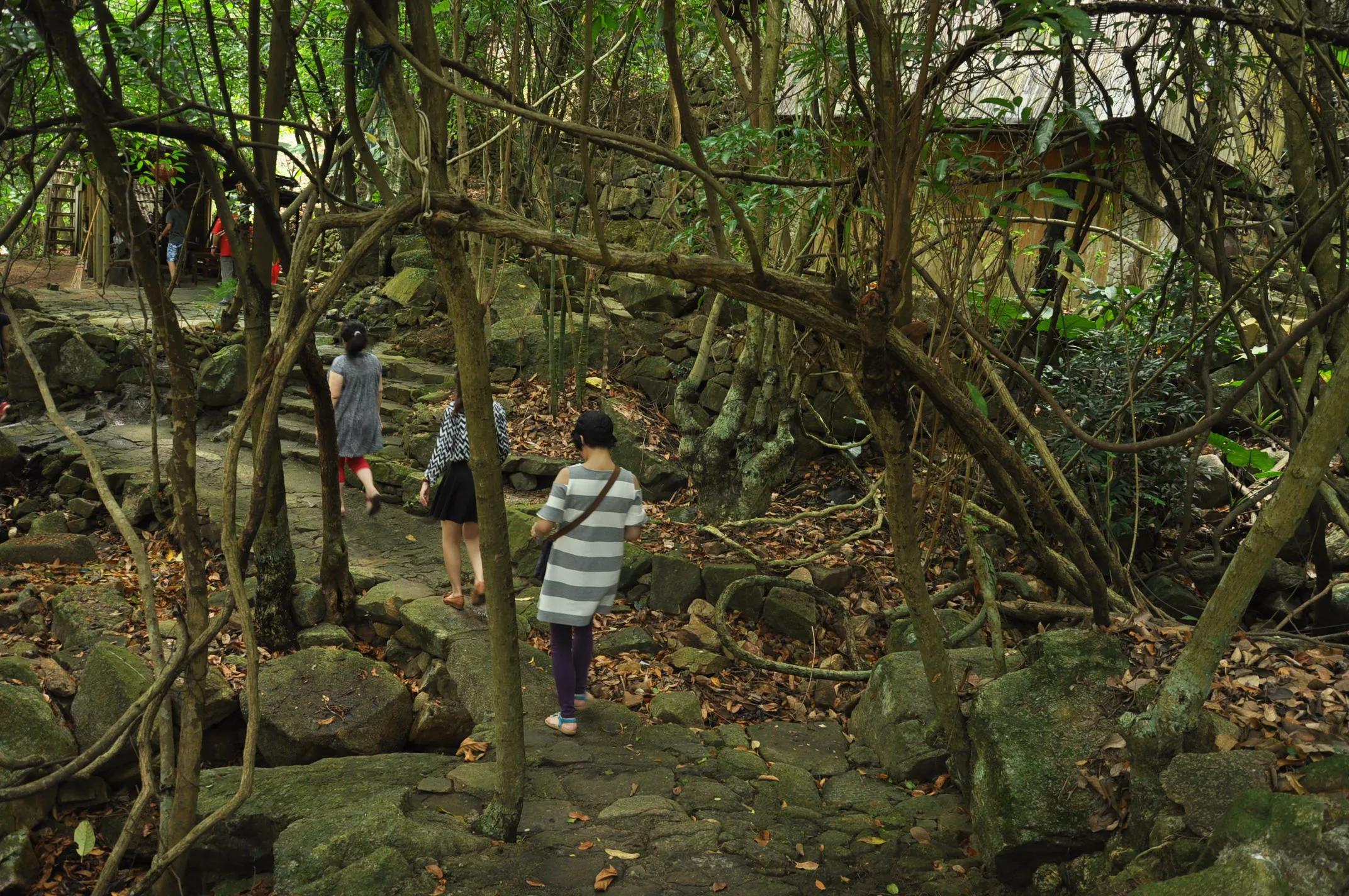 台山｜凤凰峡·岭南小九寨沟