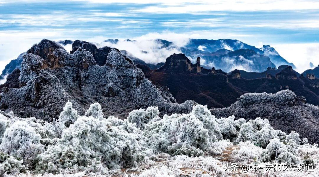 云赏美景,王莽岭美景