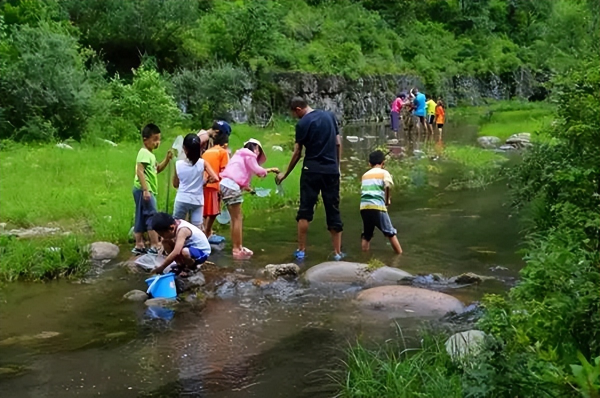 莫干山藏在山里的民宿,莫干山风景名胜区美景民宿