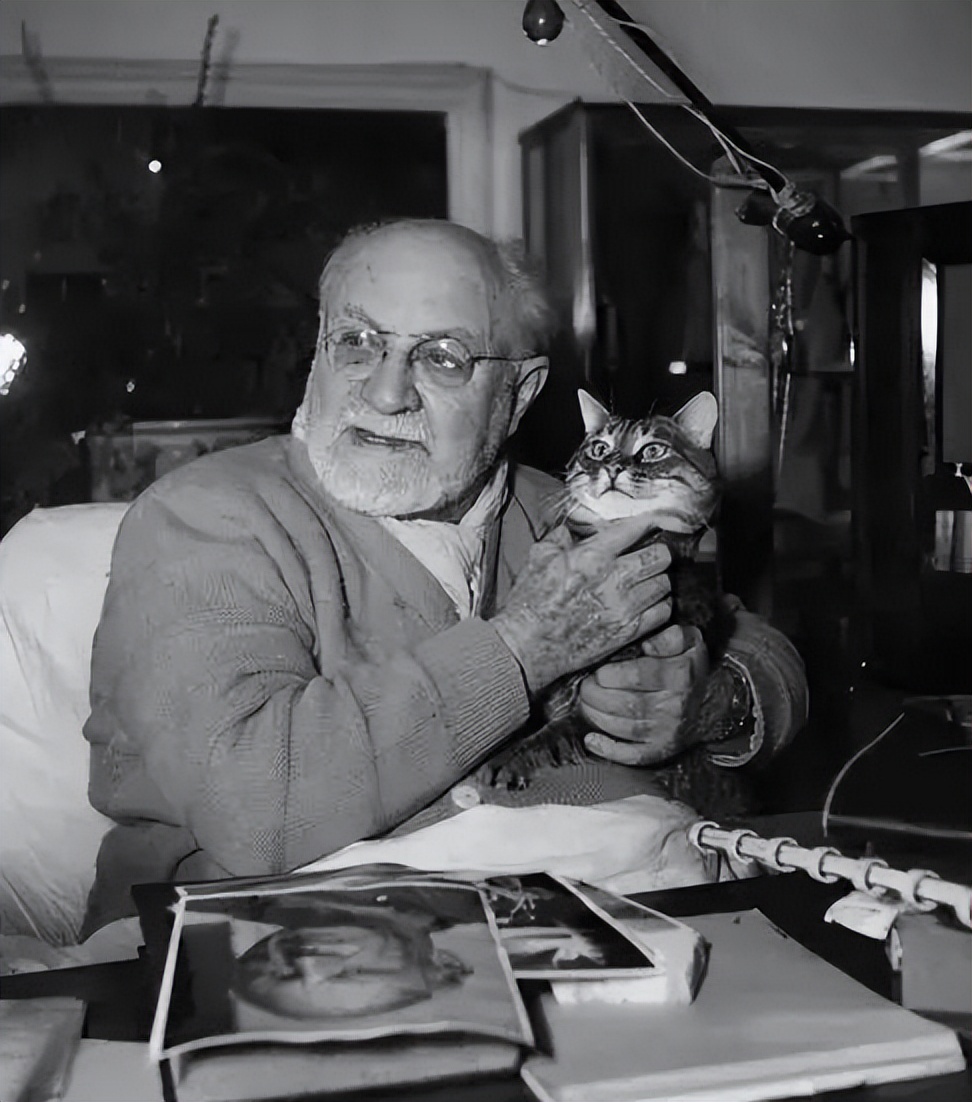 马蒂斯在色彩上注重什么,马蒂斯作品中异域的东方色彩