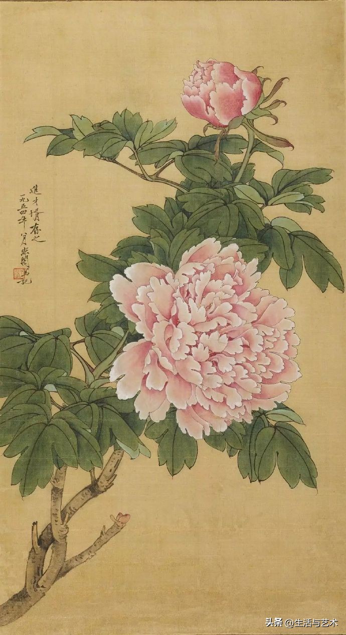 工笔牡丹和鸟白描图片欣赏,王道中工笔牡丹白描稿马蹄莲