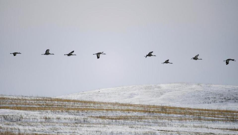 女子怒骂酒店怀孕女员工后续,女子酒店大堂骂怀孕经理后续