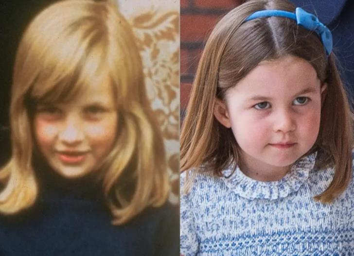 夏洛特小公主长大,夏洛特长大后图片