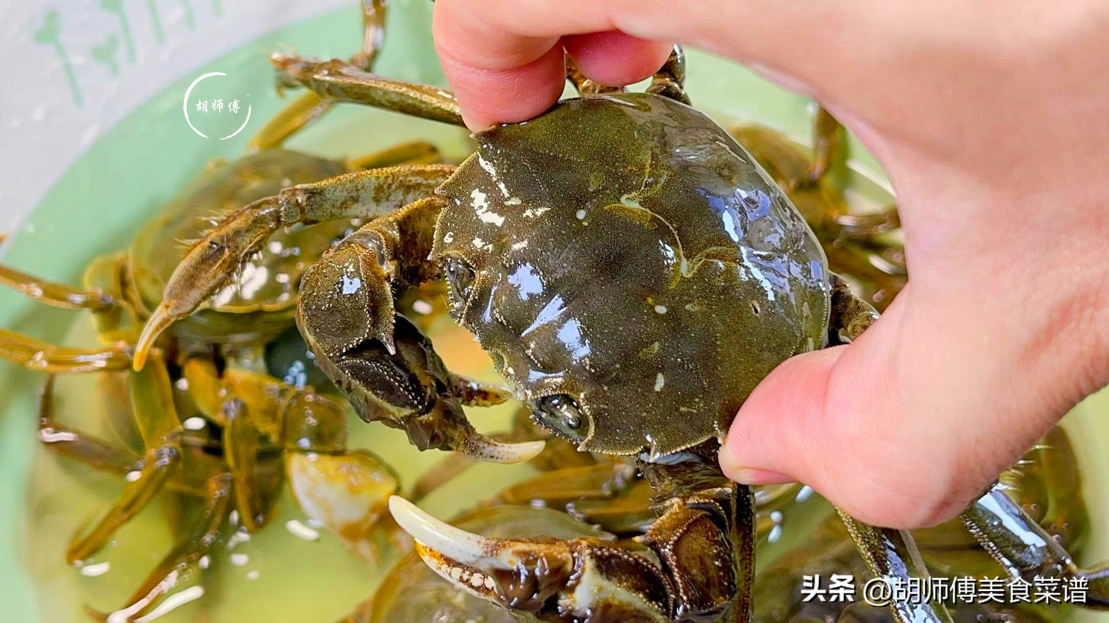 新鲜螃蟹可以放冰箱如何保存,螃蟹怎么放冰箱保存最好