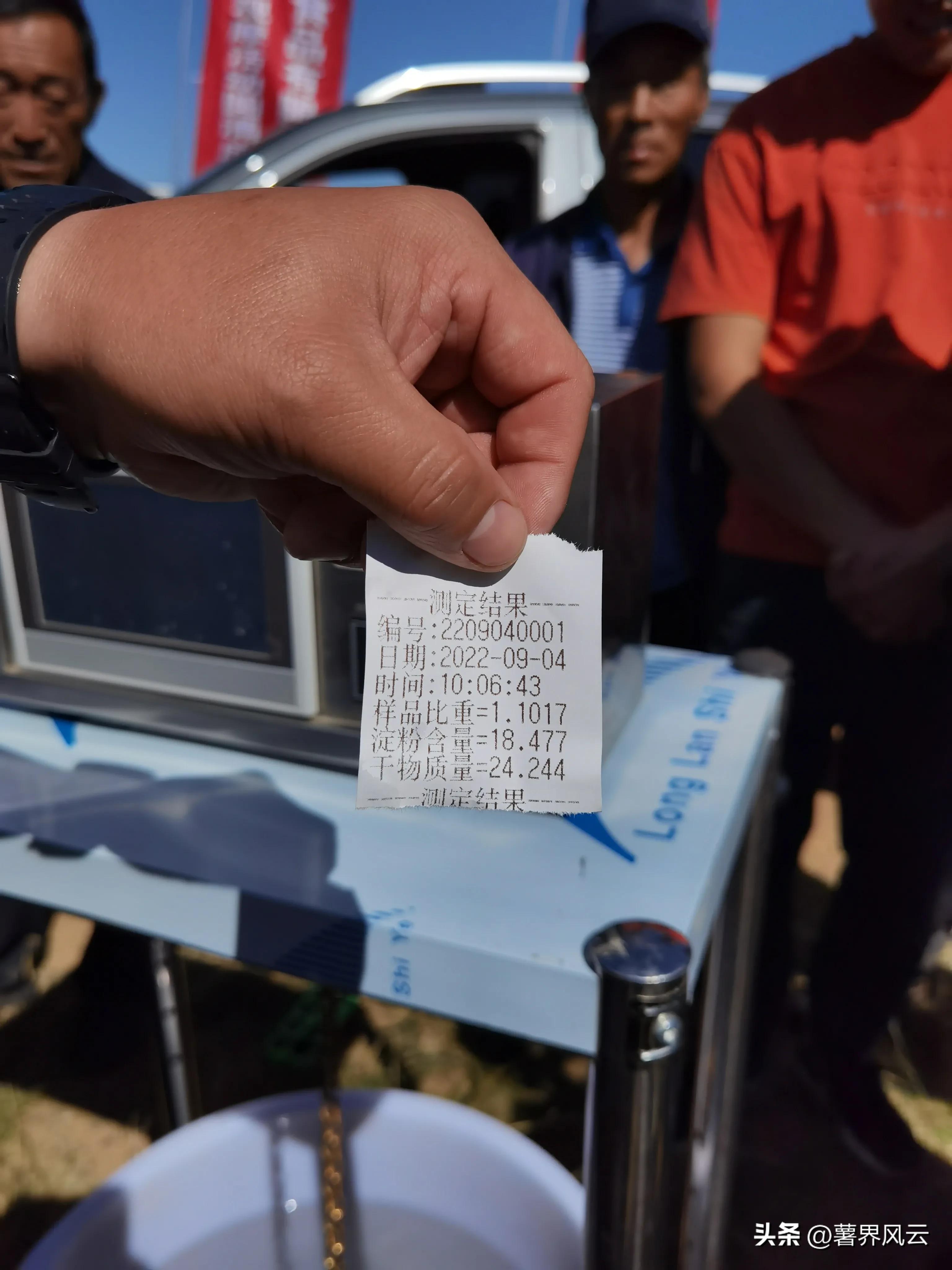 东农310：一颗优质的淀粉全粉加工专用薯