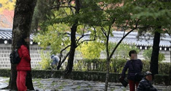 每年“*交性**易额”高达14万亿，情色行业猖獗，韩国为何沦落至此？