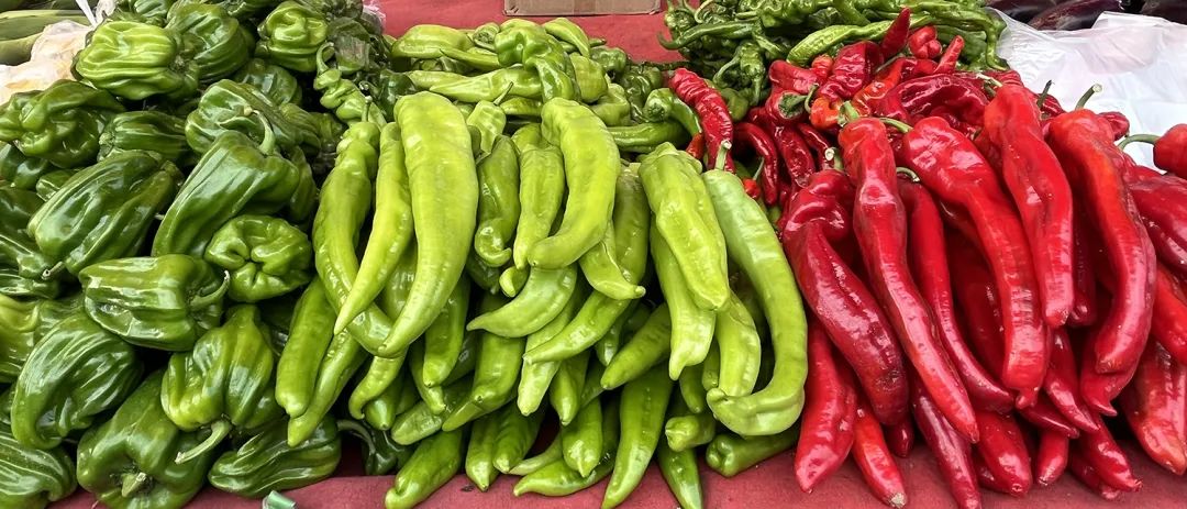 又到做西红柿酱的季节,什么季节做西红柿酱呢