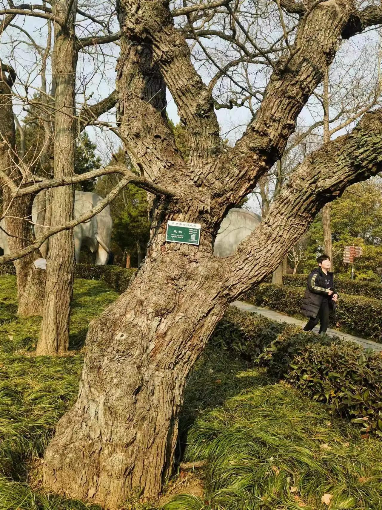 大胖小胖自驾游,房车自驾旅行三日游