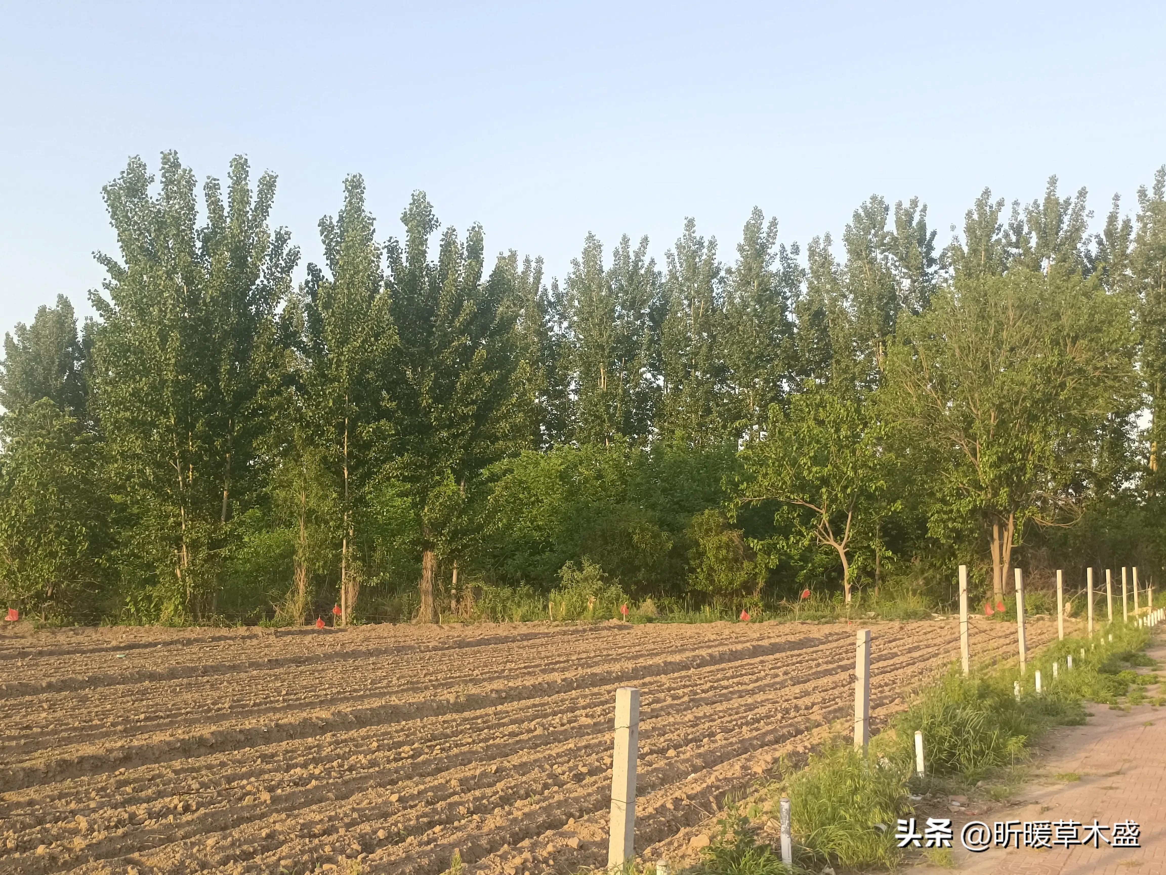 人活着不必计较得与舍,人活着不必那么累