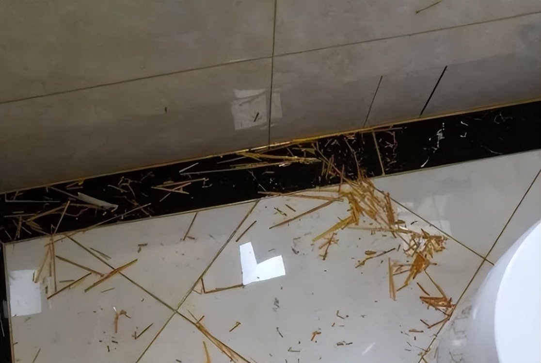 瓷砖美缝施工攻略,新手做环氧彩砂美缝施工注意什么