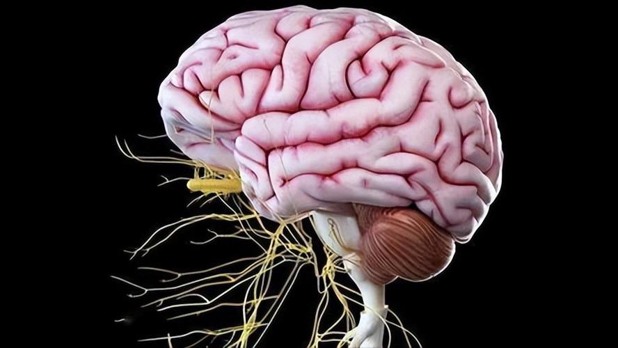 老年人舒张压多少是正常范围,老年高血压患者舒张压目标值