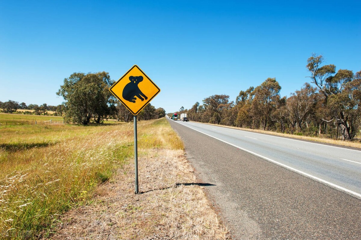 内地人在澳洲开车可能会遇到的难题？