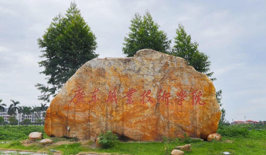 大学宿舍是四人间的宿舍有哪些,哪个大学宿舍四人间最好