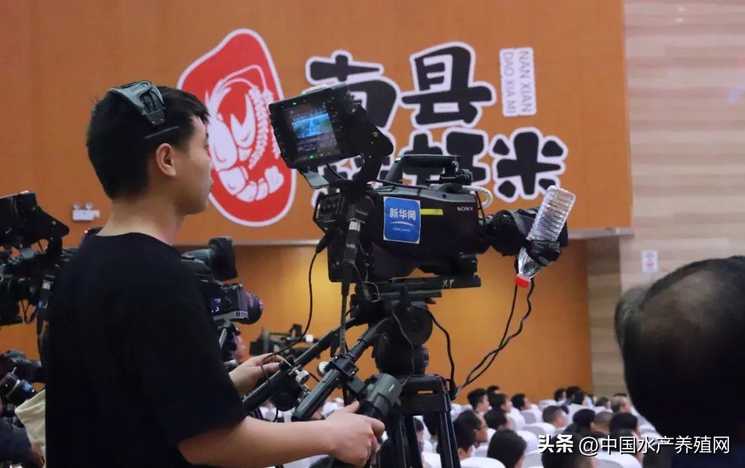 2023年南县小龙虾价格行情,南县小龙虾价格报价