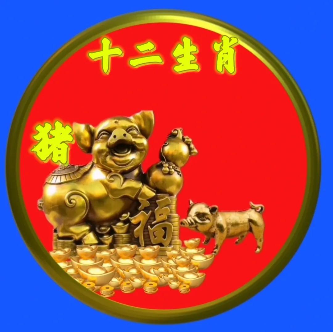 12生肖猪的姓氏头像,十二生肖猪姓氏头像壁纸