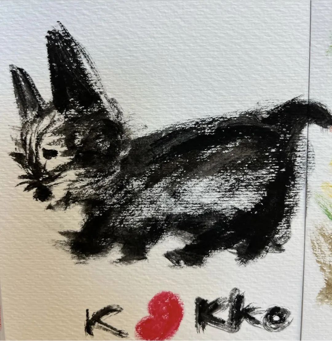 干练金瑞亨,金瑞亨满屏少年感