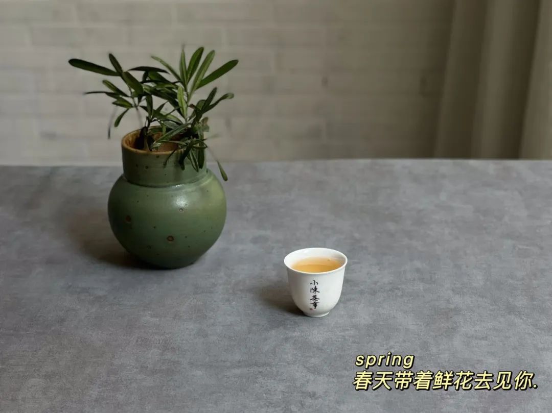 绿茶乌龙茶普洱茶怎么喝才适合,白茶红茶绿茶哪个更好喝一点
