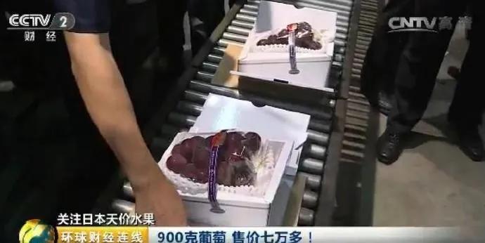 全世界最贵的6种水果,全世界最贵的六种水果