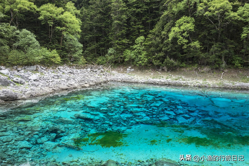 广州去四川九寨沟旅游攻略,成都旅游3-4天攻略最佳线路九寨沟